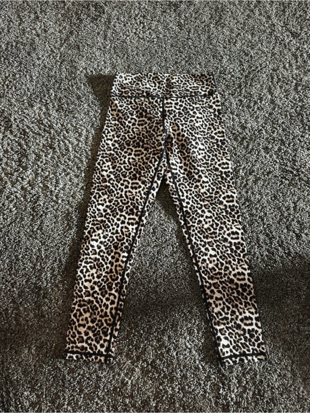 ZYIA Leopard Print Leggings - Black & Cream